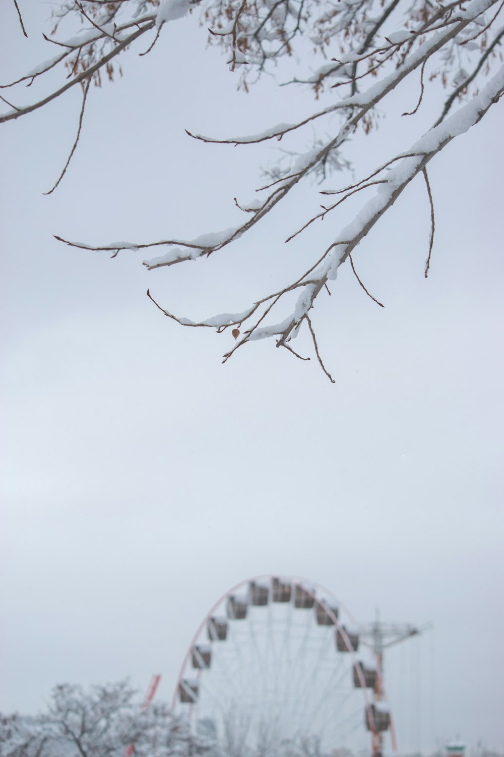 a ferris wheel in the distance with snow on the ground