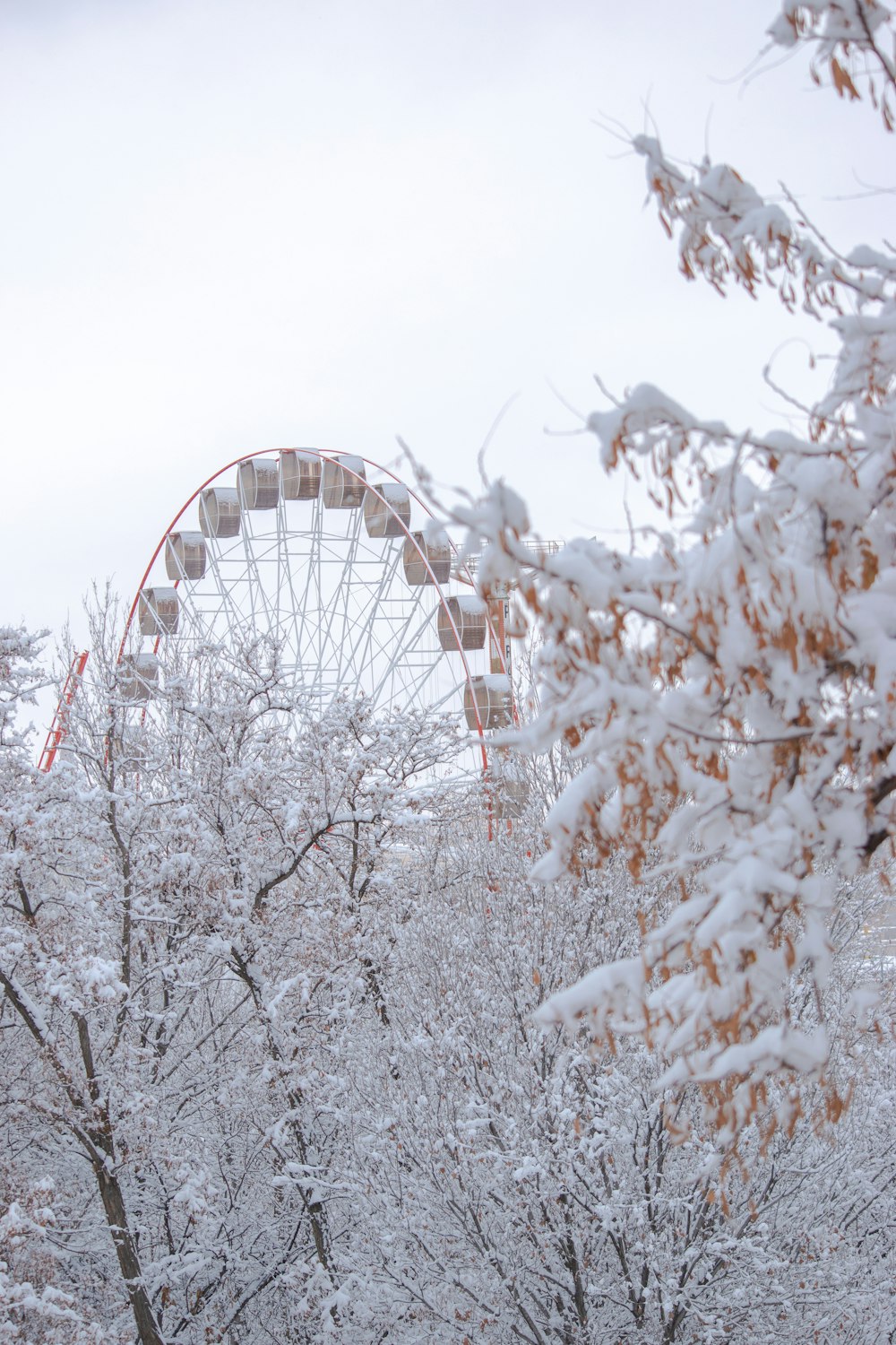 a ferris wheel surrounded by snow covered trees