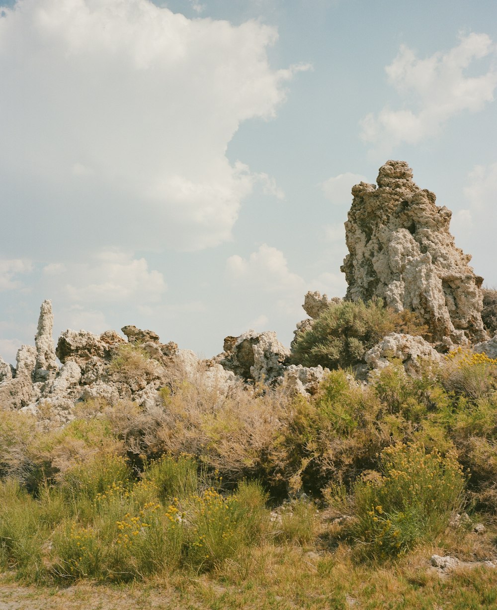 a large rock formation in the middle of a field