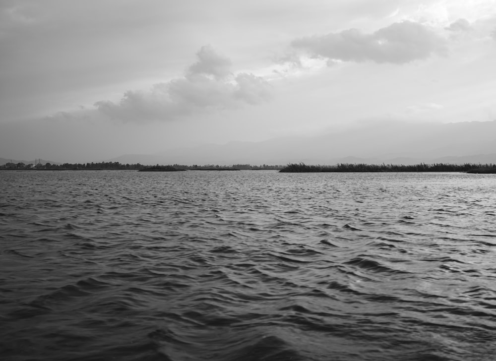 수역의 흑백 사진