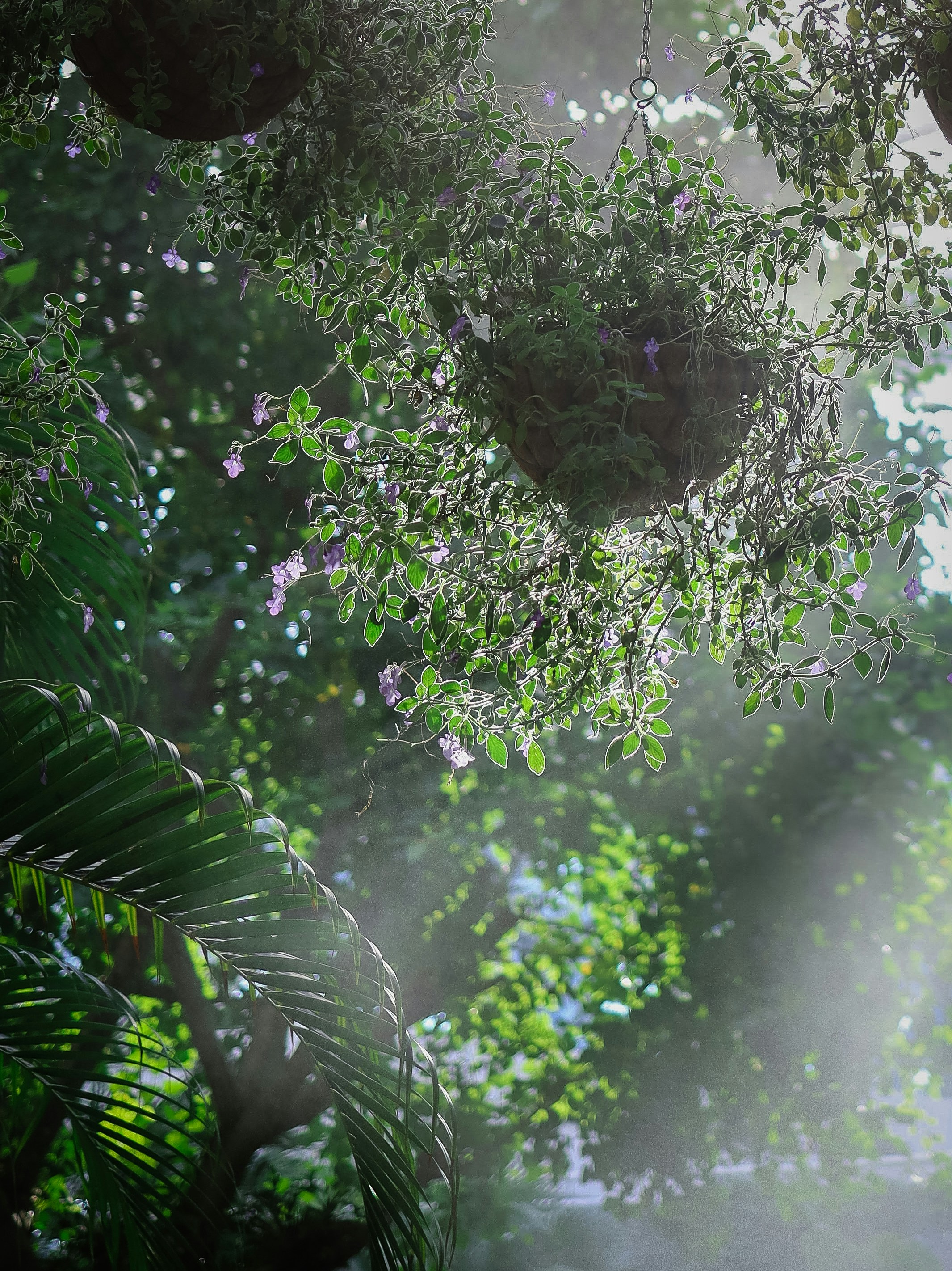 Photo by soflightsto