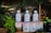 Several cans of extra virgin olive oil are displayed alongside various food items, including jars, canned goods, and green leafy plants. The olive oil cans are prominently placed in the center and are labeled 'Lindsay Naturals' and 'La Tourangelle' with colorful and vibrant labels.