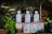 Several cans of extra virgin olive oil are displayed alongside various food items, including jars, canned goods, and green leafy plants. The olive oil cans are prominently placed in the center and are labeled 'Lindsay Naturals' and 'La Tourangelle' with colorful and vibrant labels.