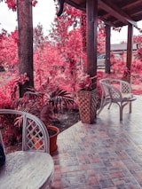 An outdoor patio scene with various plant pots in different styles and colors arranged artfully.