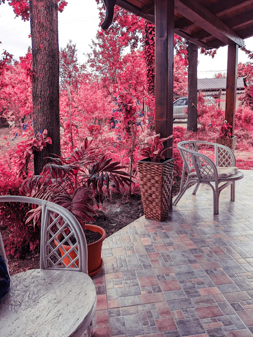 A vibrant Kenyan lodge patio overlooking a lush garden with colorful flowers and traditional decor.