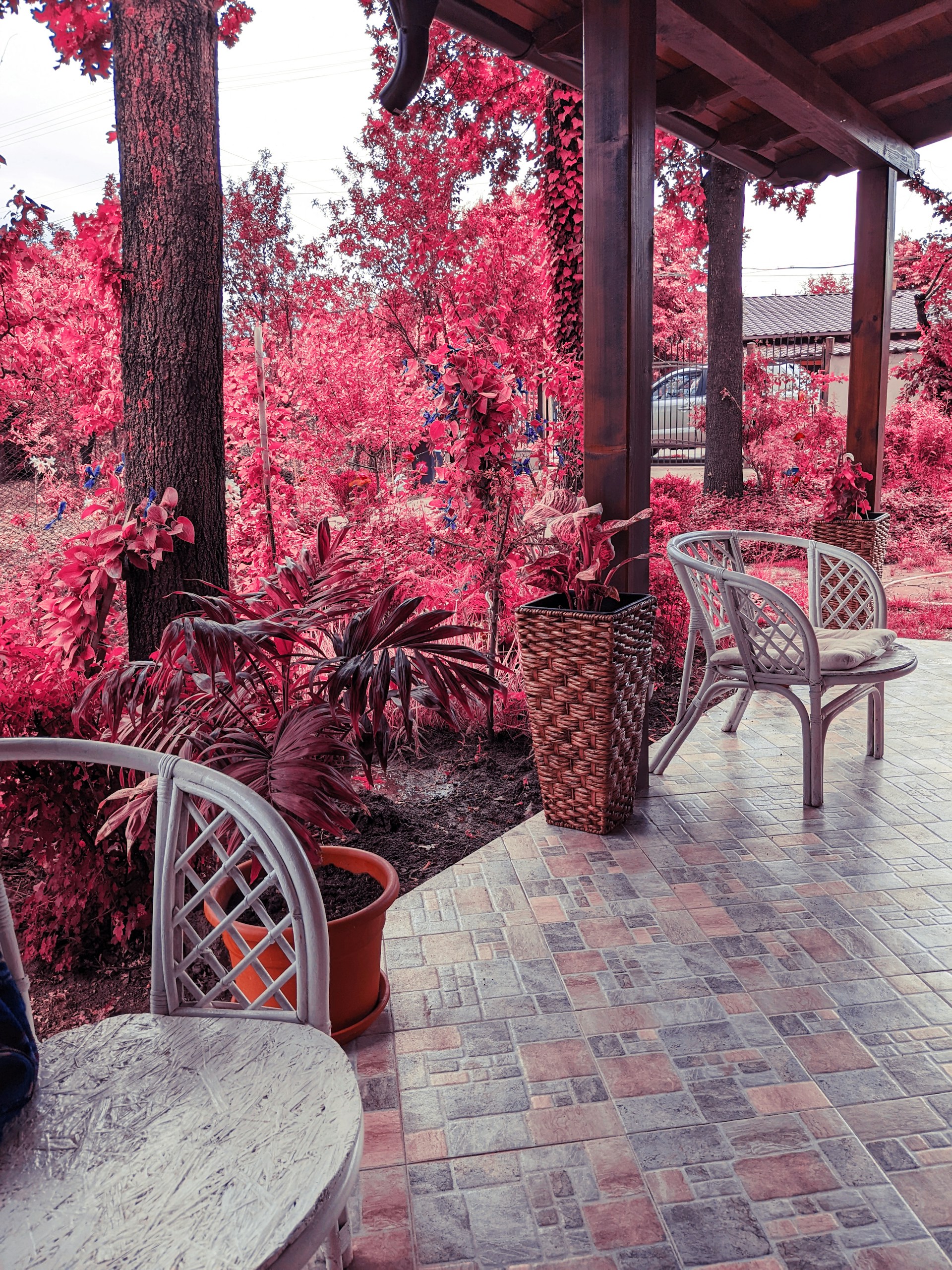 black and white bed linen