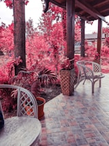 A garden patio scene with wicker chairs and potted plants arranged on a tiled floor. Tall trees and dense foliage, all in vibrant shades of pink and red, surround the area, creating a surreal atmosphere.