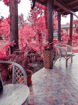 A garden patio scene with wicker chairs and potted plants arranged on a tiled floor. Tall trees and dense foliage, all in vibrant shades of pink and red, surround the area, creating a surreal atmosphere.