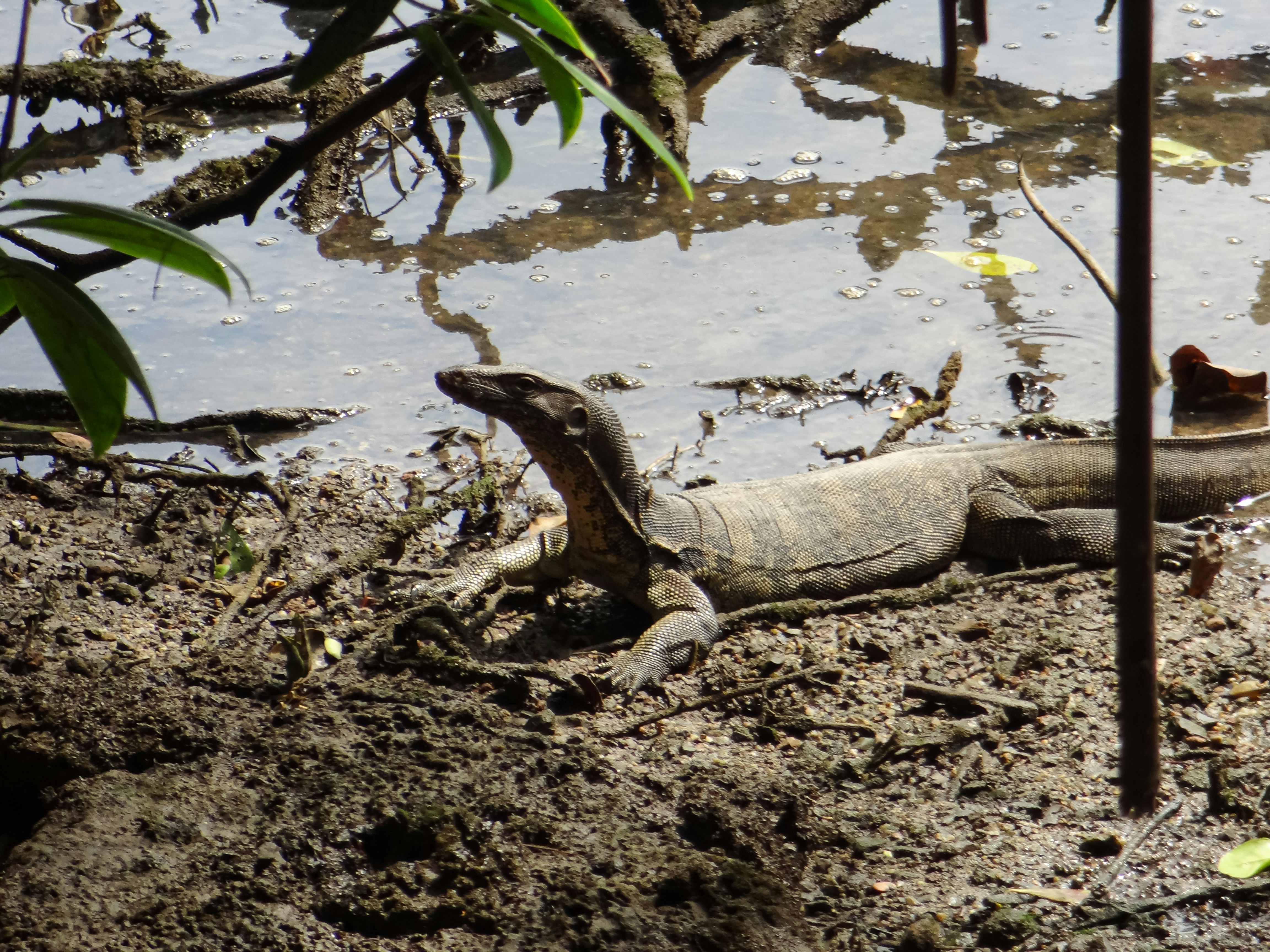 Photo by mechaowlstudios