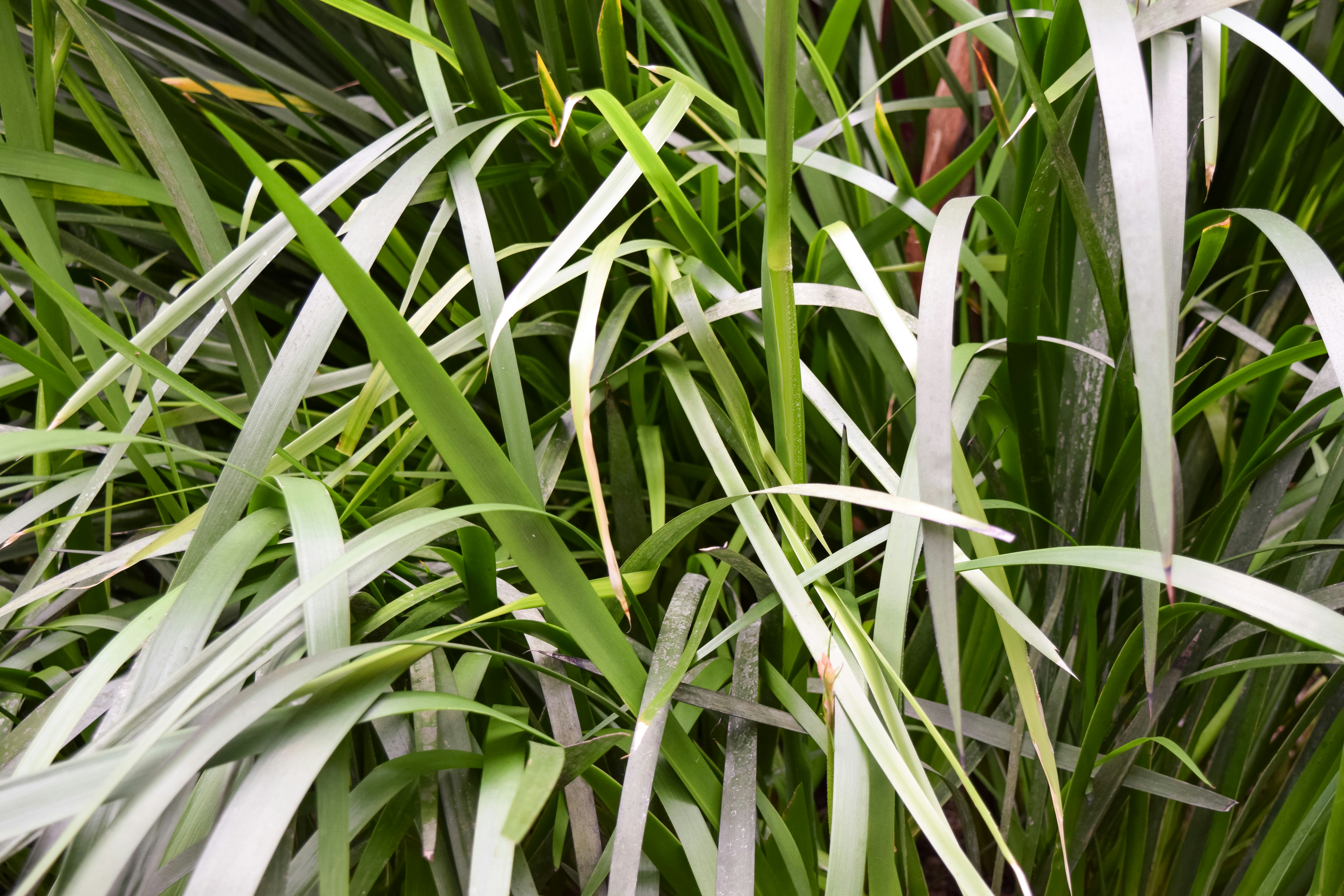 Photo by mechaowlstudios