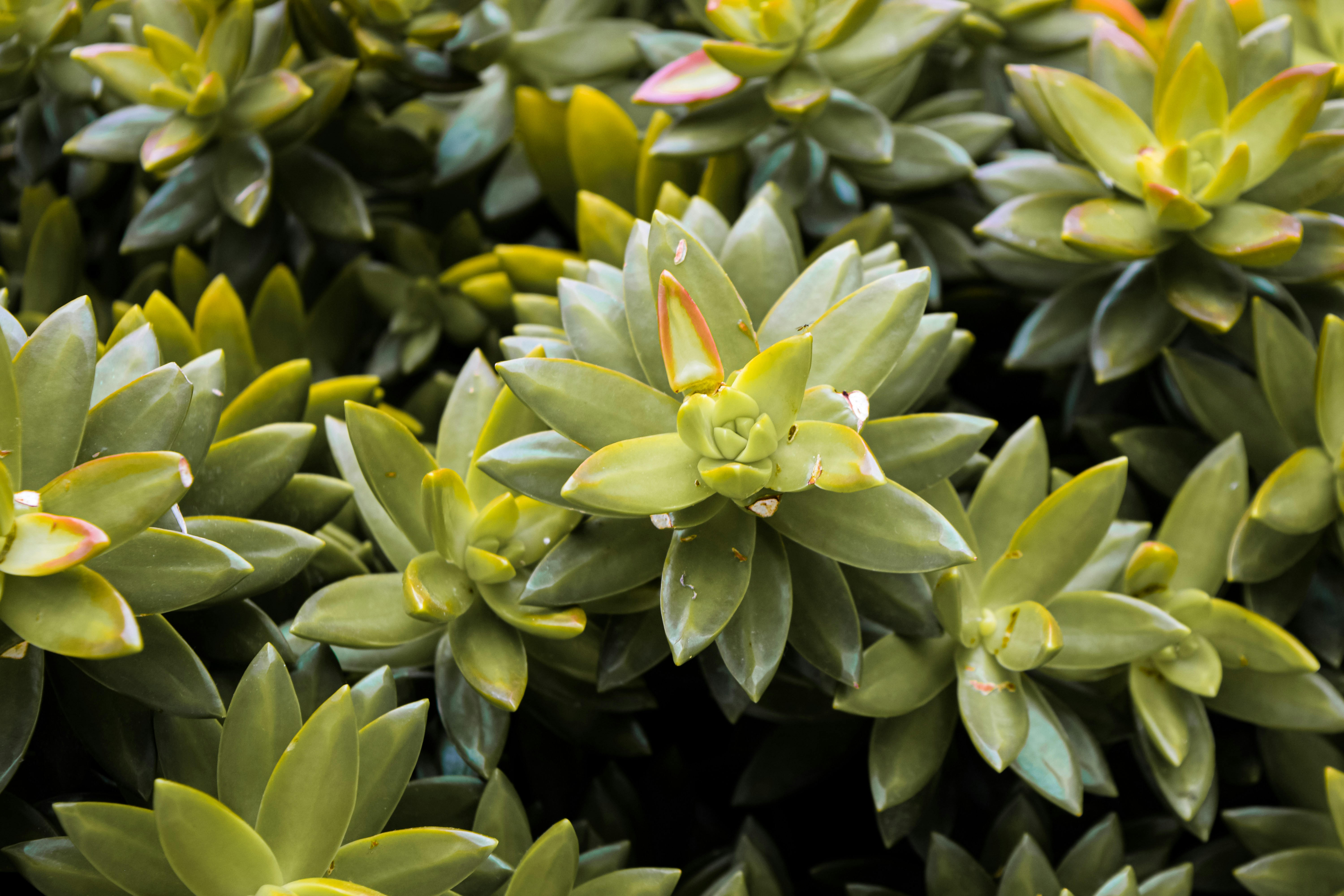 Photo by mechaowlstudios