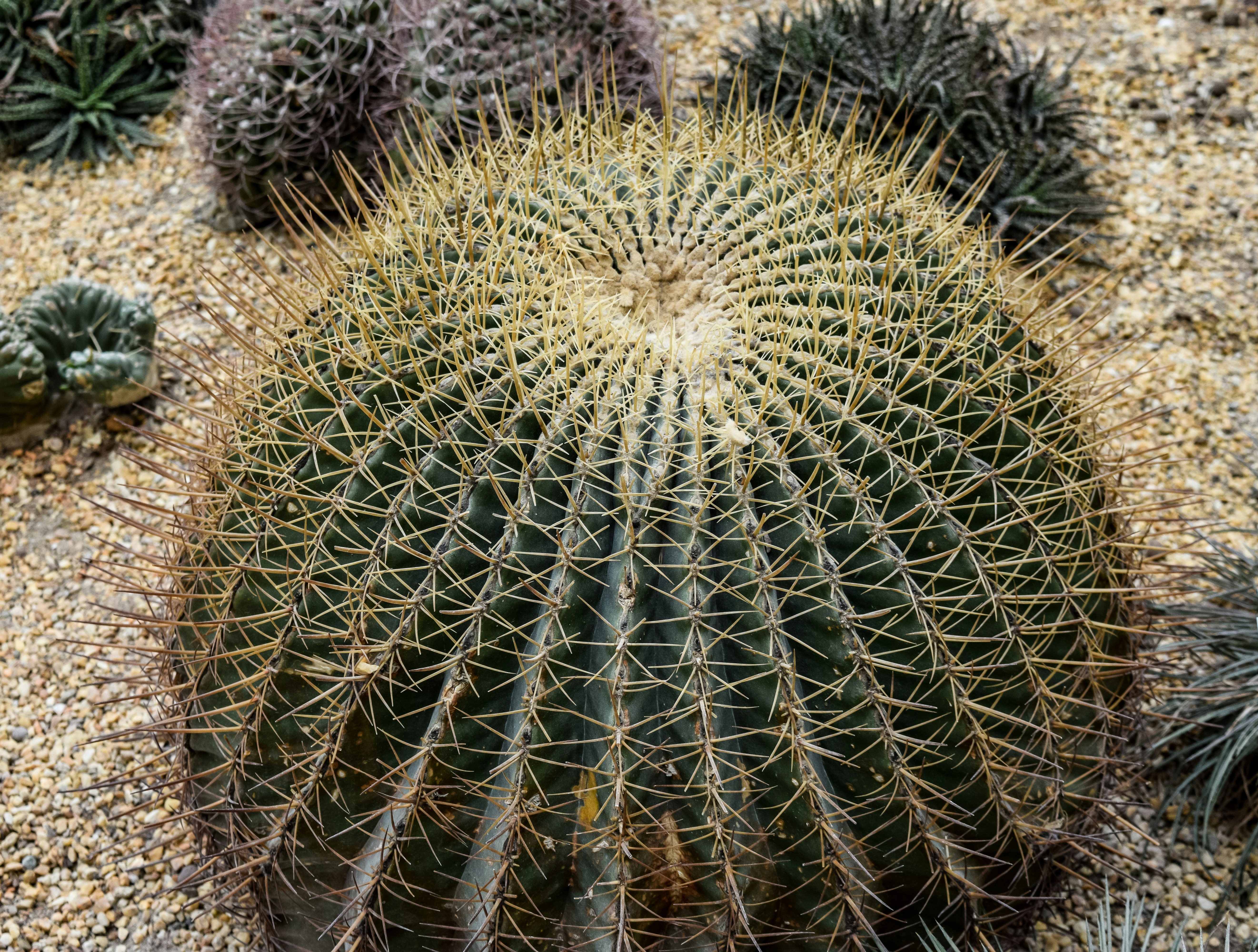 Photo by mechaowlstudios