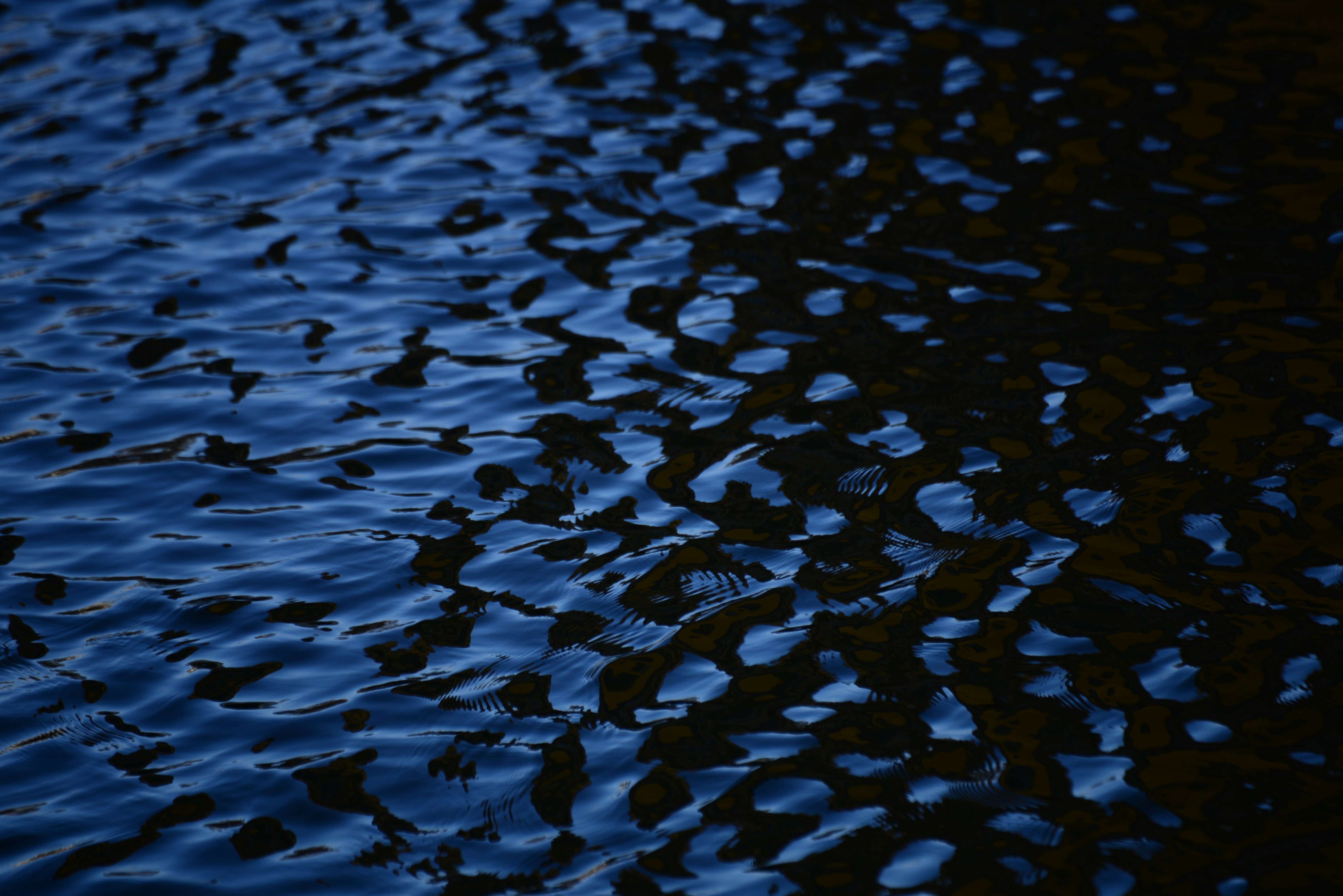 Photo by arturrekstad