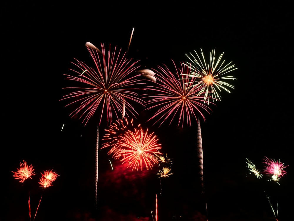 a bunch of fireworks are lit up in the night sky