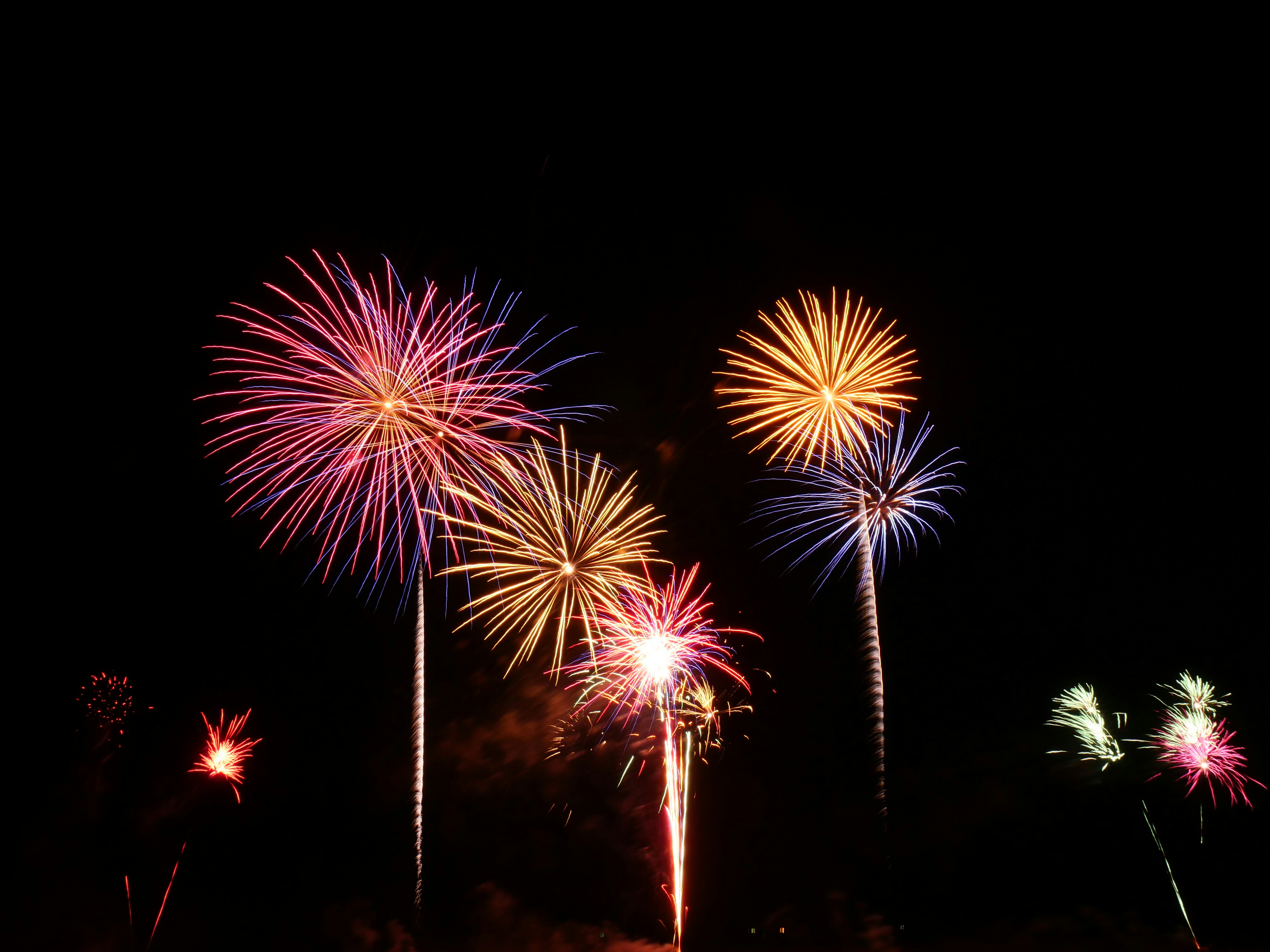 Photo by nimbus_vulpis