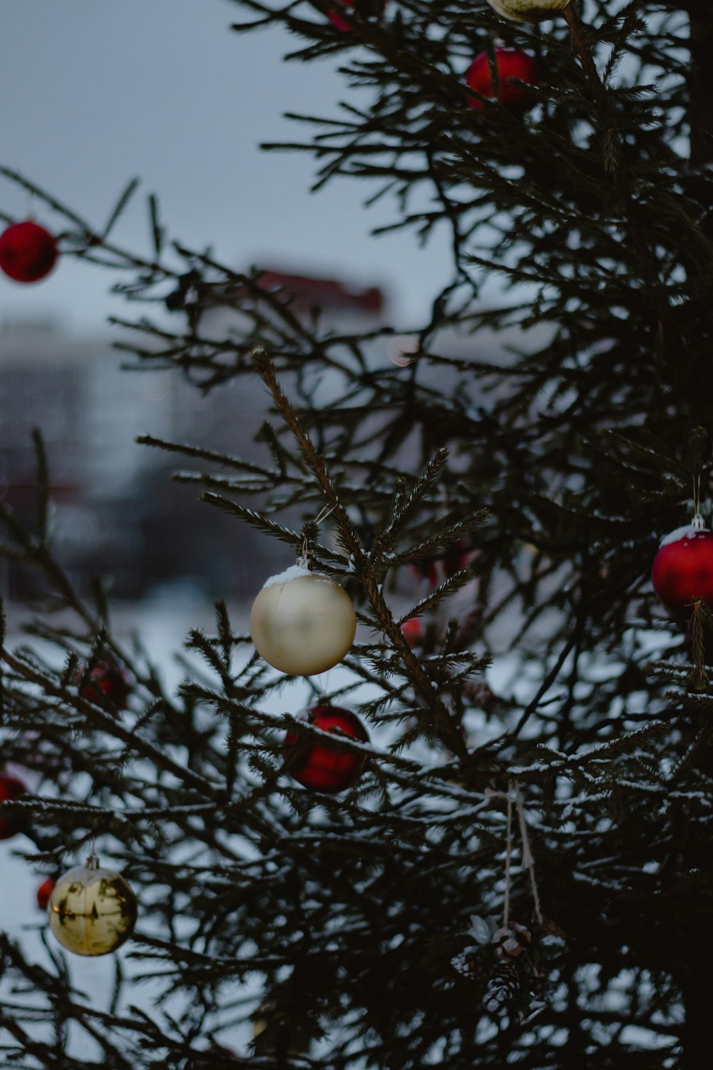 a close up of a christmas tree with ornaments