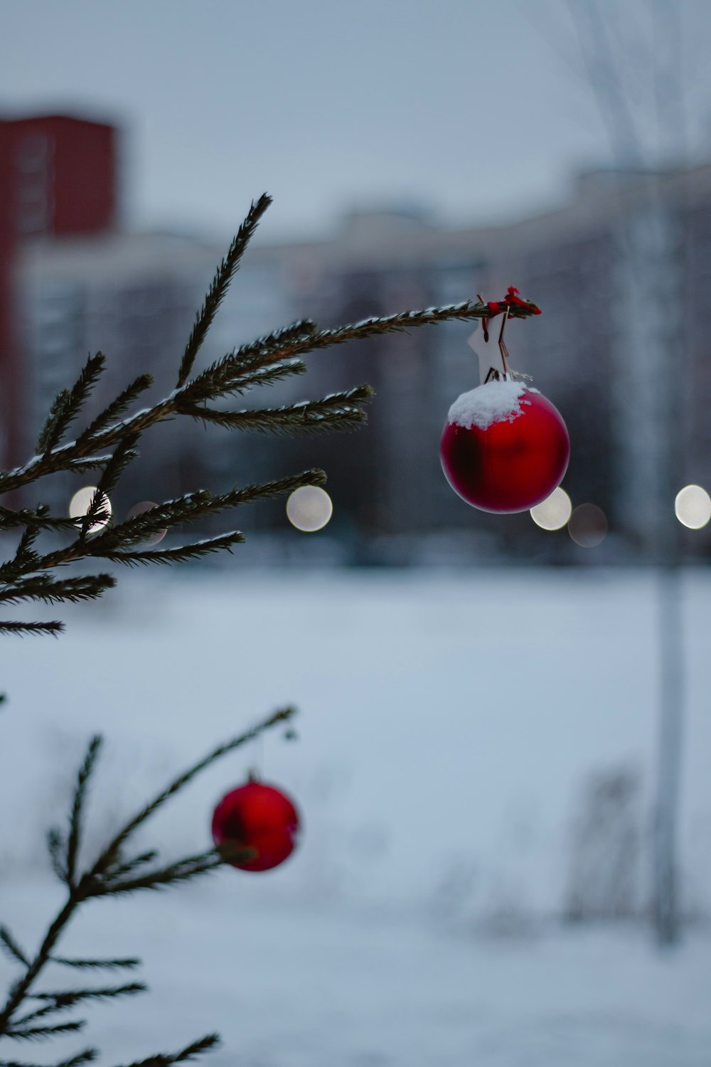 Un ornement rouge suspendu à un arbre dans la neige