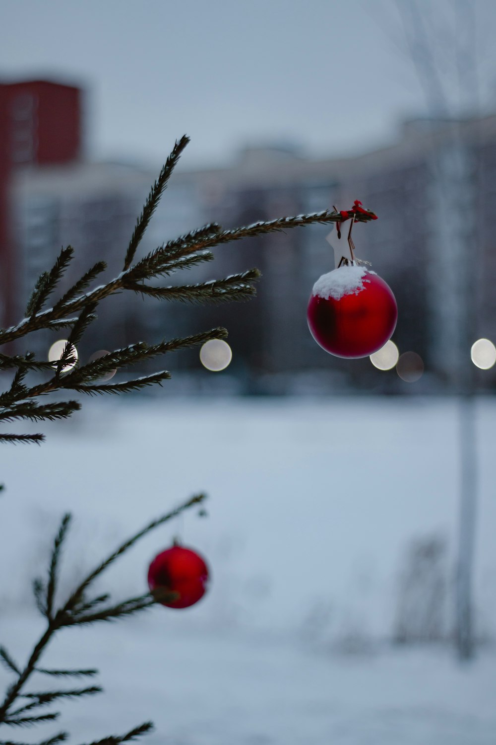 a red ornament hanging from a tree in the snow