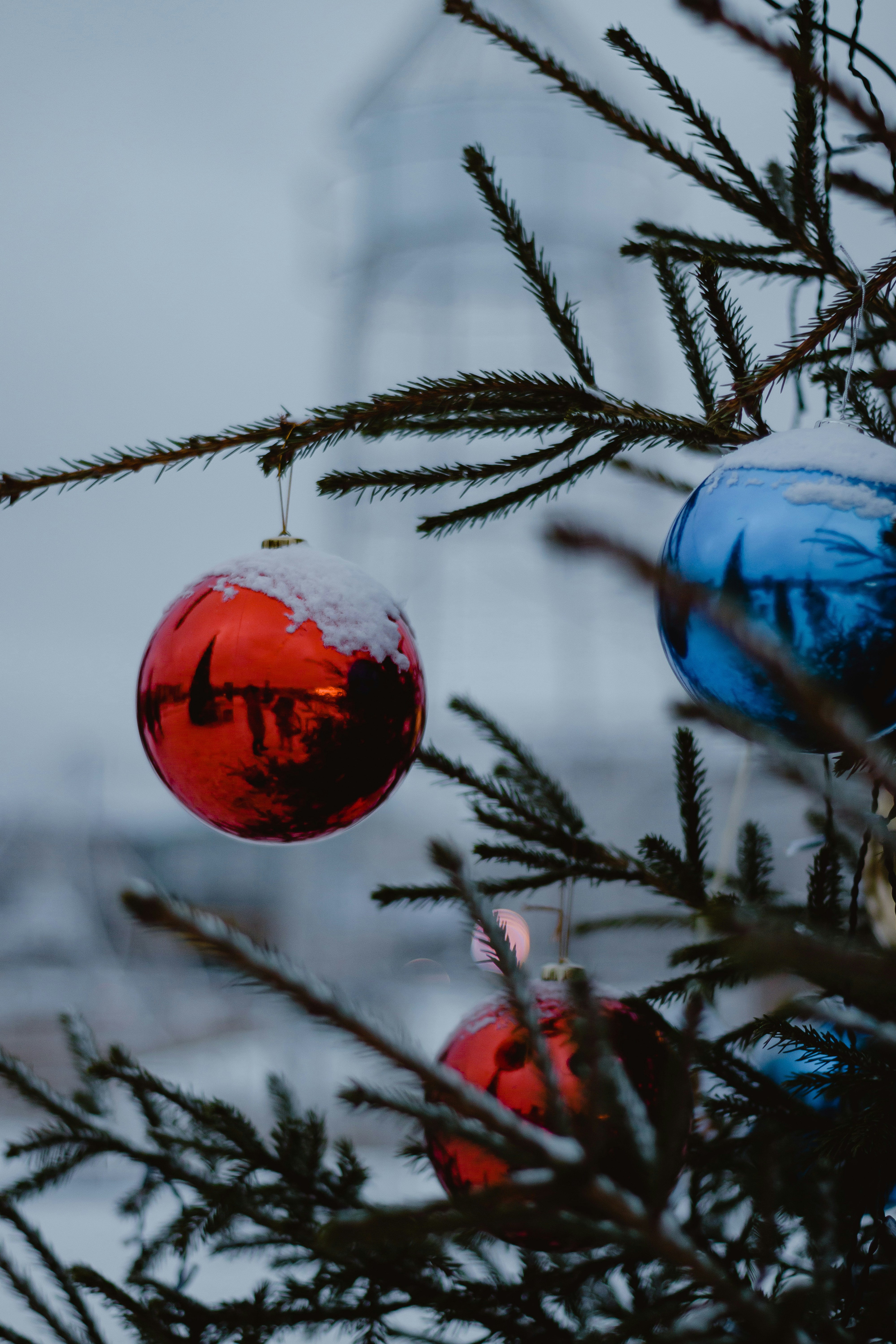 A red and blue ornament hanging from a christmas tree photo – Free ...