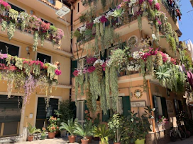 Charming apartment building facade with tropical plants at the entrance.