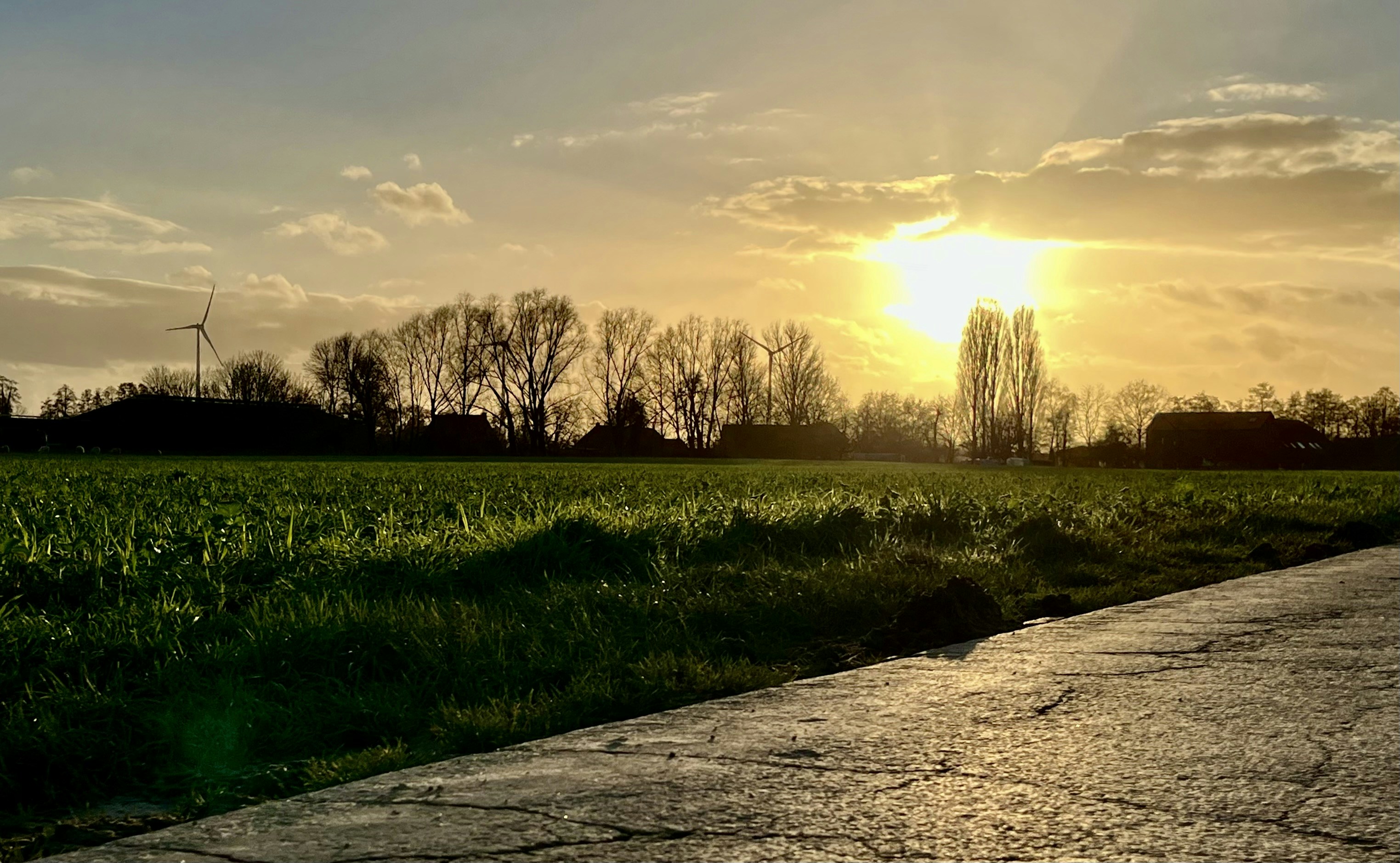 Wind turbines at golden hour in green fields, clean energy, sustainability, environmental focus