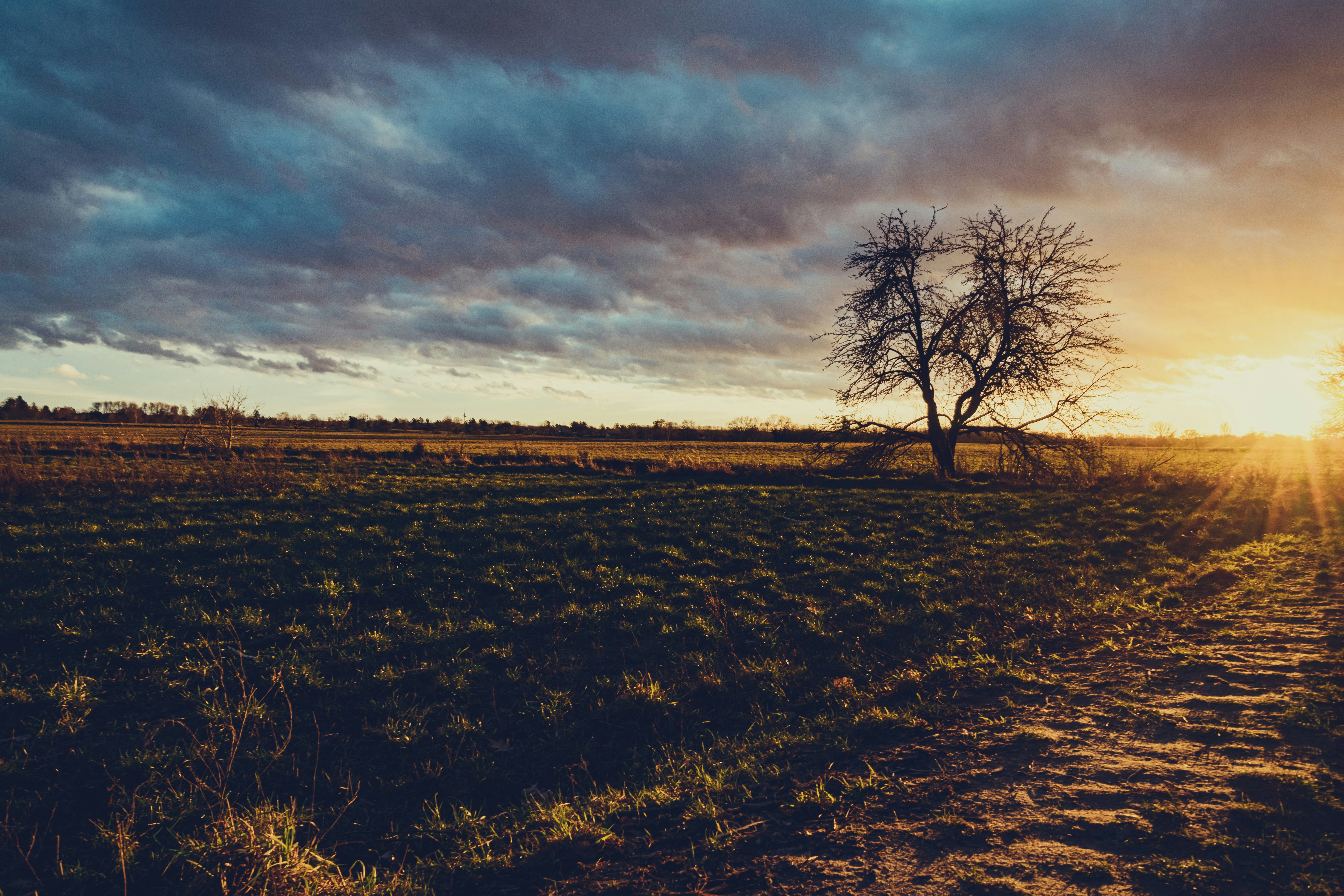 Photo by henningtillmann