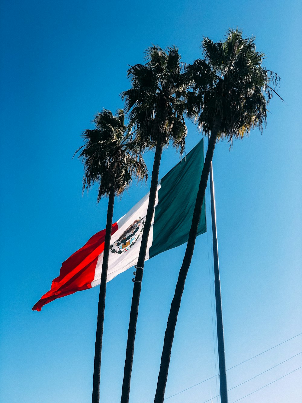 a flag flying between two palm trees on a sunny day