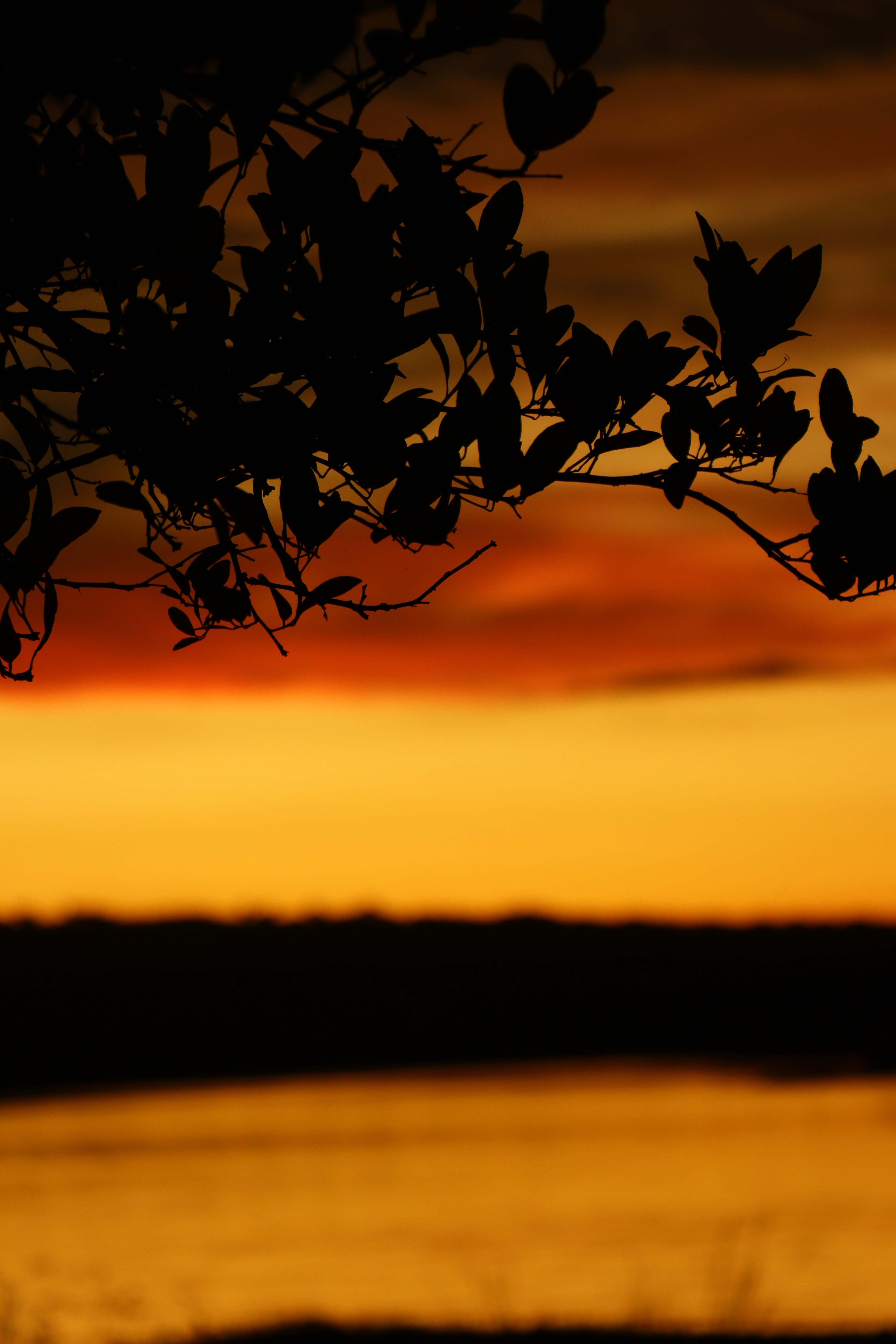 Photo by marandari