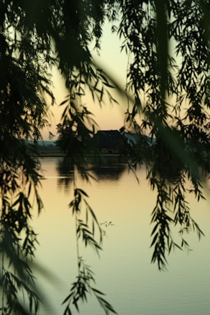 A serene lake with calm water reflecting the soft golden hues of a sunset or sunrise. Silhouettes of trees frame the image, creating a tranquil atmosphere. In the distance, a small structure, possibly a house or cottage, is faintly visible across the water.