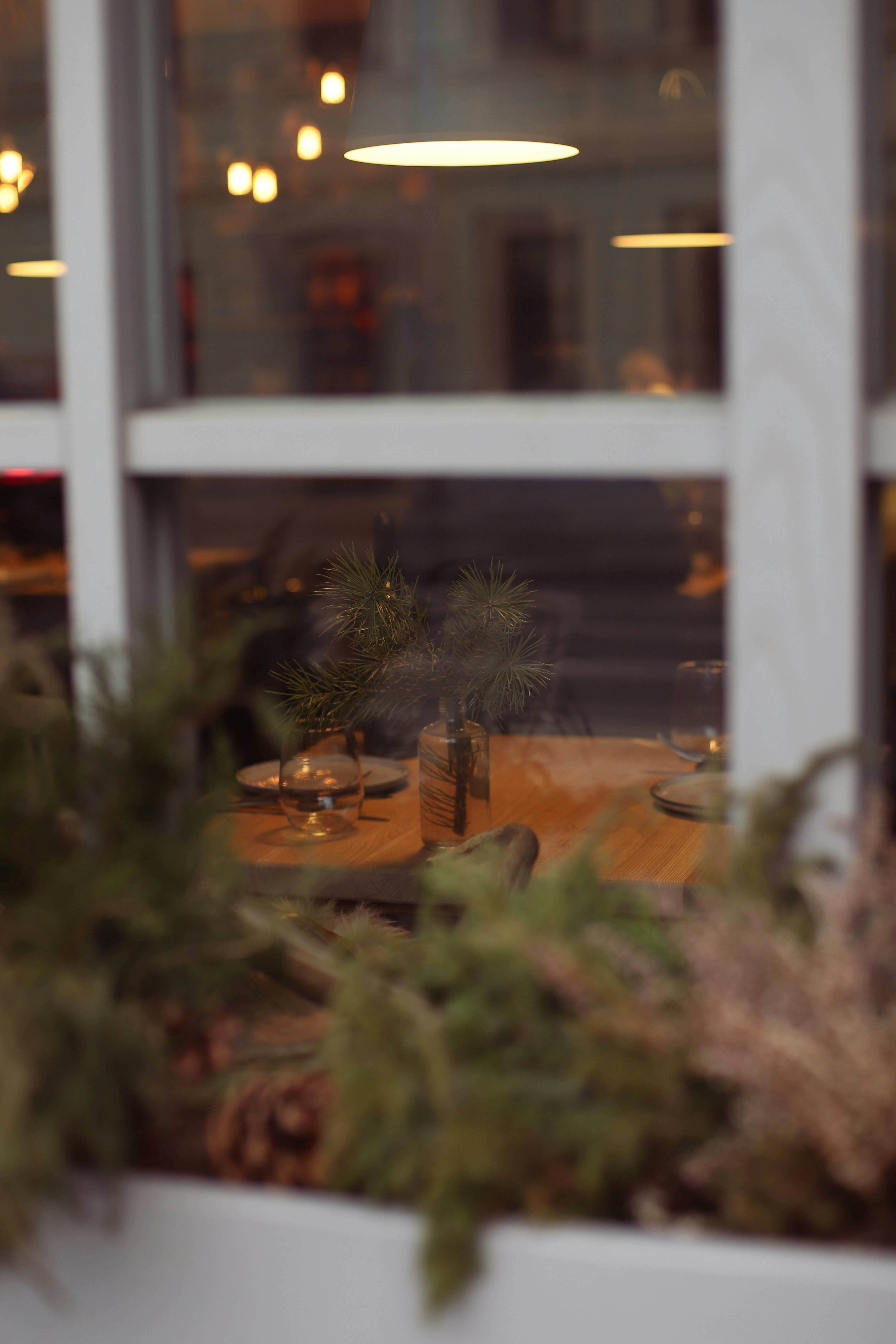 Photo by lapshinakseniia