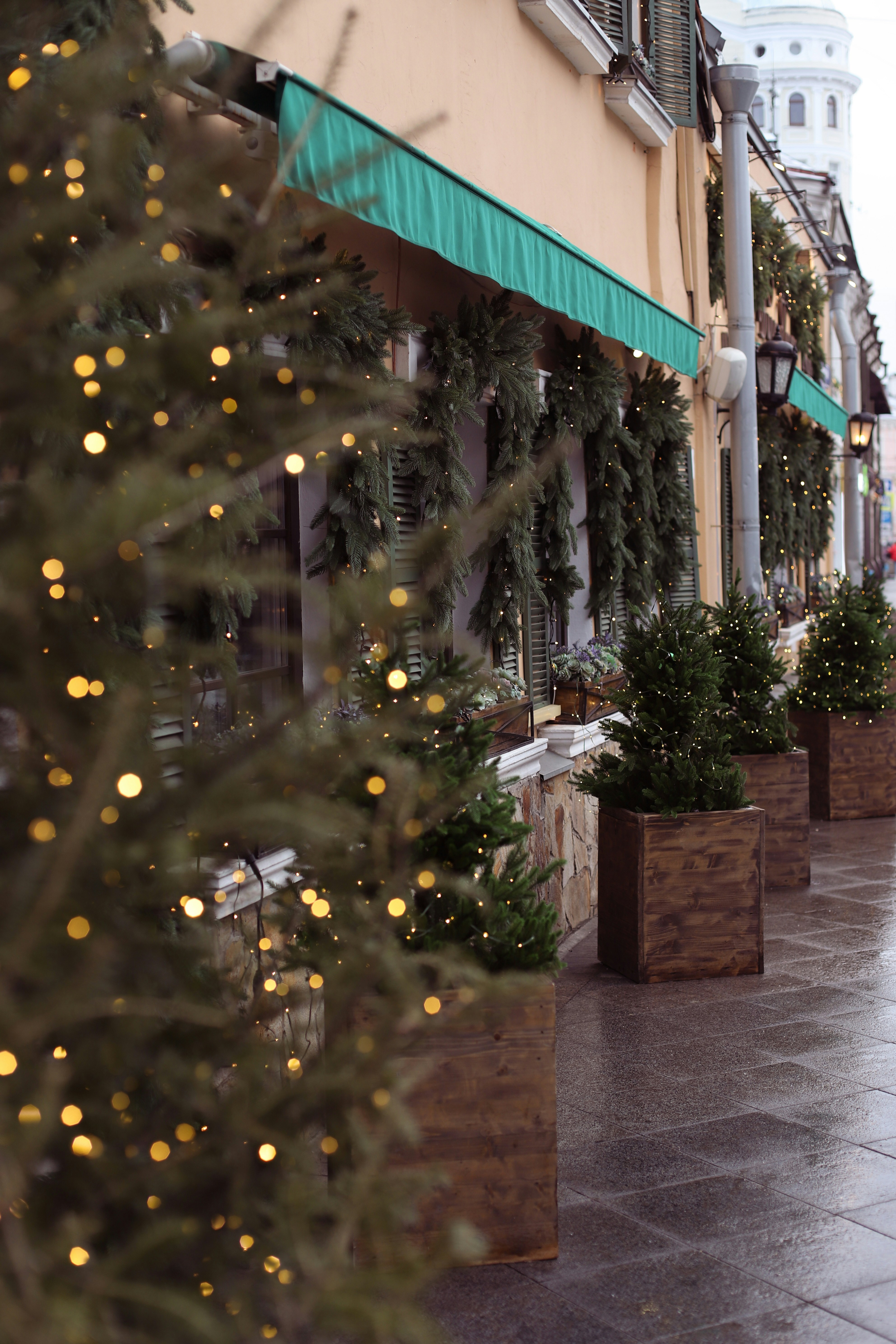 Photo by lapshinakseniia