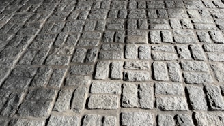 A close-up view of a stone pavement consisting of rectangular cobblestones arranged in a regular pattern. The uneven texture of the stones is highlighted by the sunlight, creating shadows and emphasizing their rugged surface.