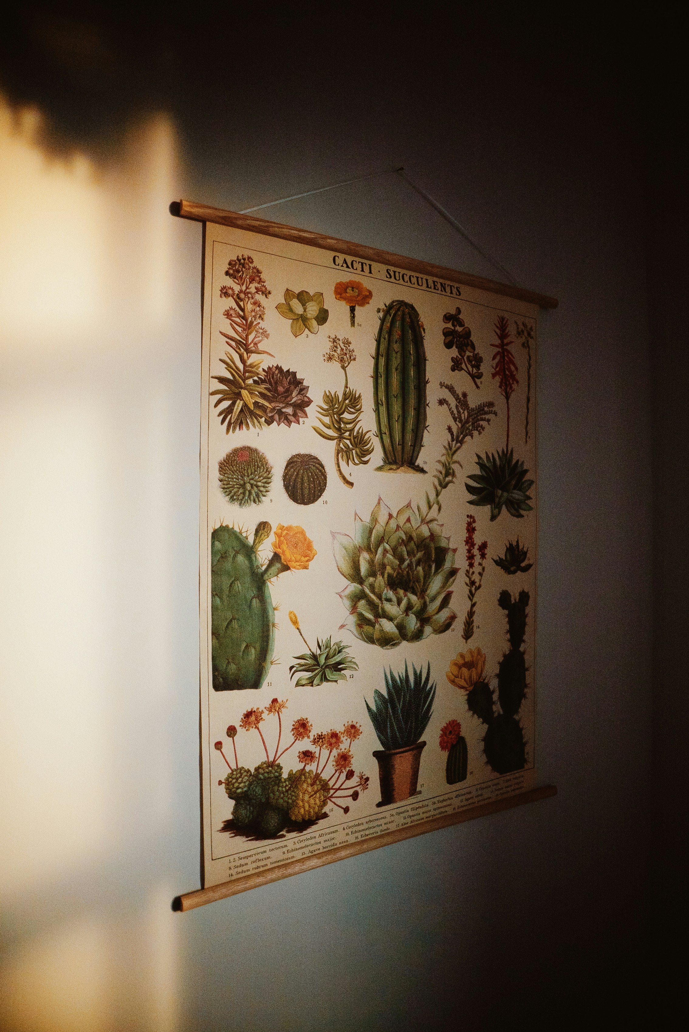 photo-1673824025478-f918f226ba56?ixid=M3wxMjA3fDB8MXxzZWFyY2h8MTl8fGN1c3RvbSUyMGVtYnJvaWRlcnklMjBicm9va2x5bnxlbnwwfHx8fDE3NTQzNjg0NDB8MA\u0026ixlib=rb-4.1.0