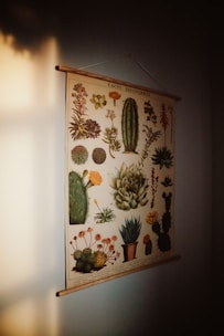 a picture of a cactus hanging on a wall
