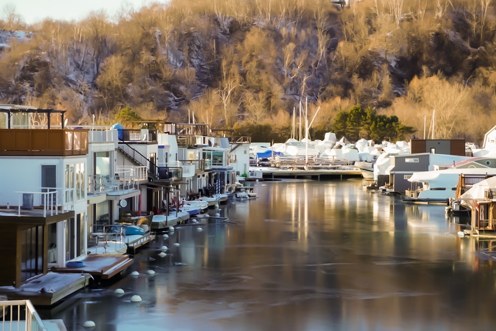 a body of water surrounded by buildings and trees