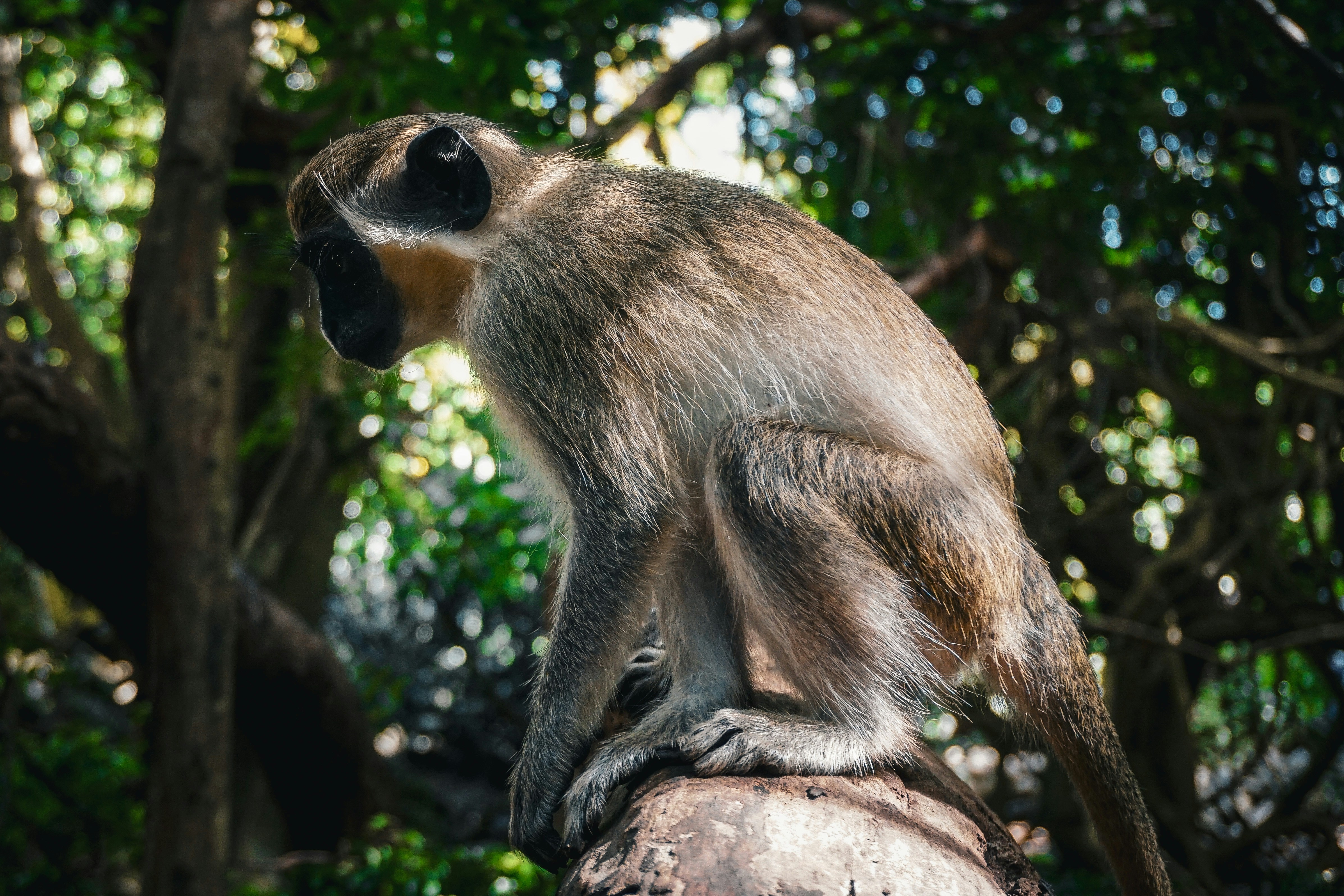 Photo by chloechristinemarketing