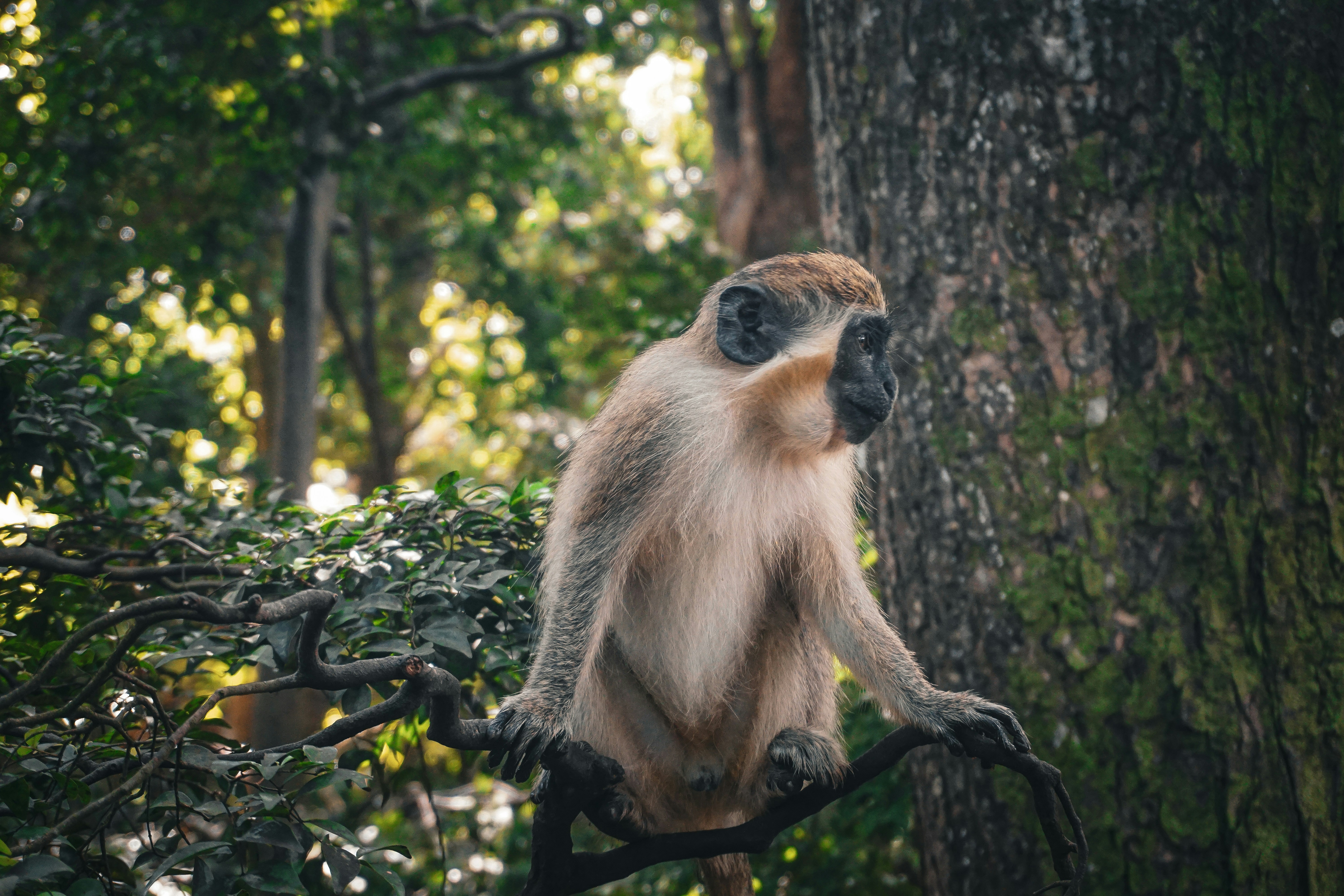 Photo by chloechristinemarketing