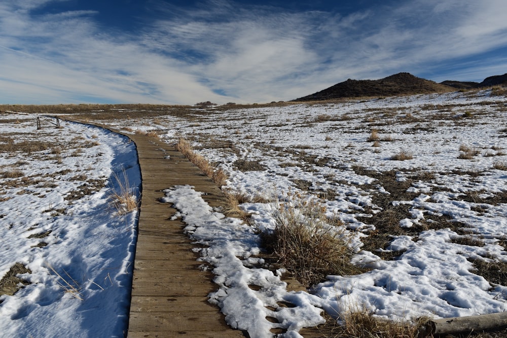 Un camino en medio de un campo nevado