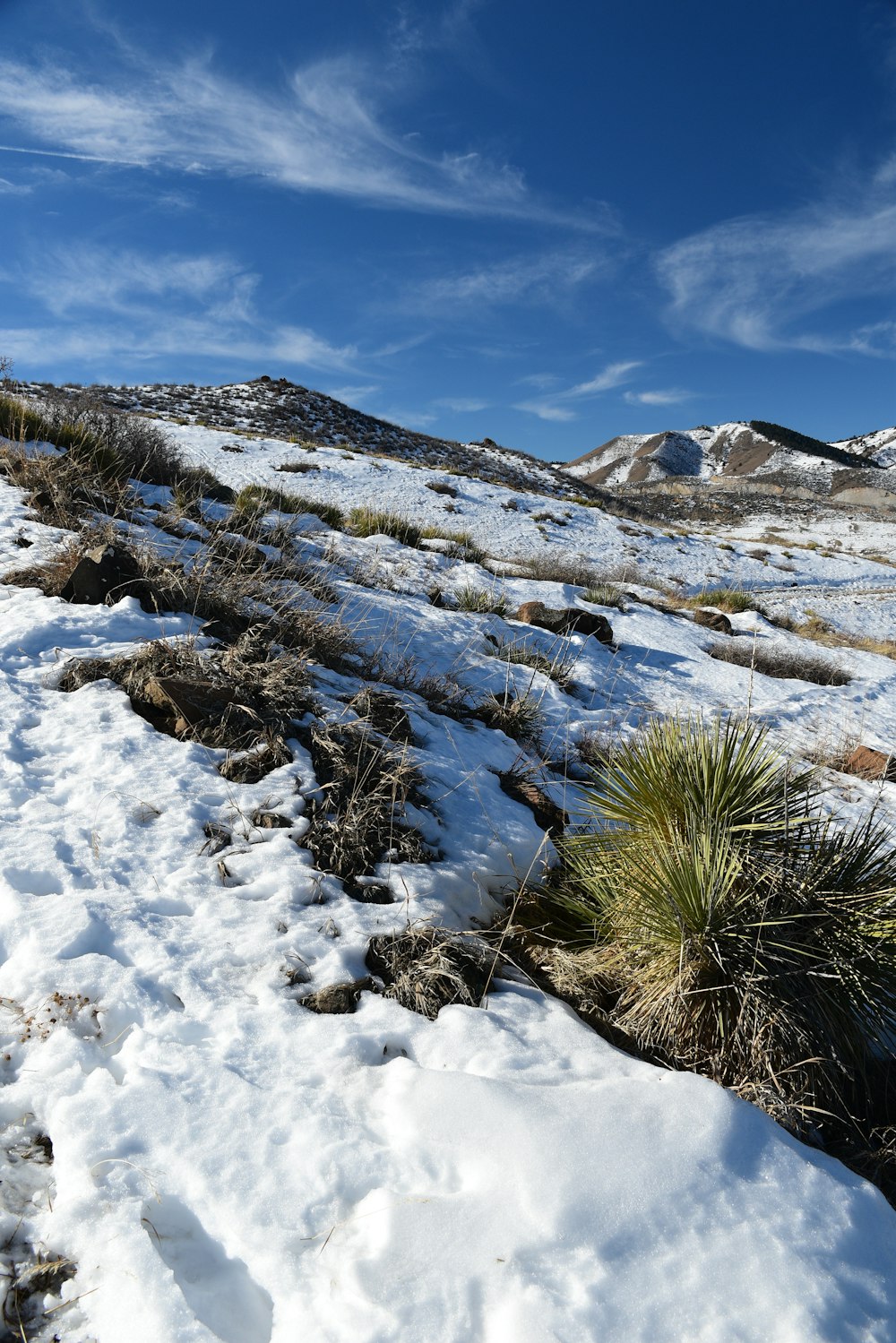 a snow covered field with a mountain in the background