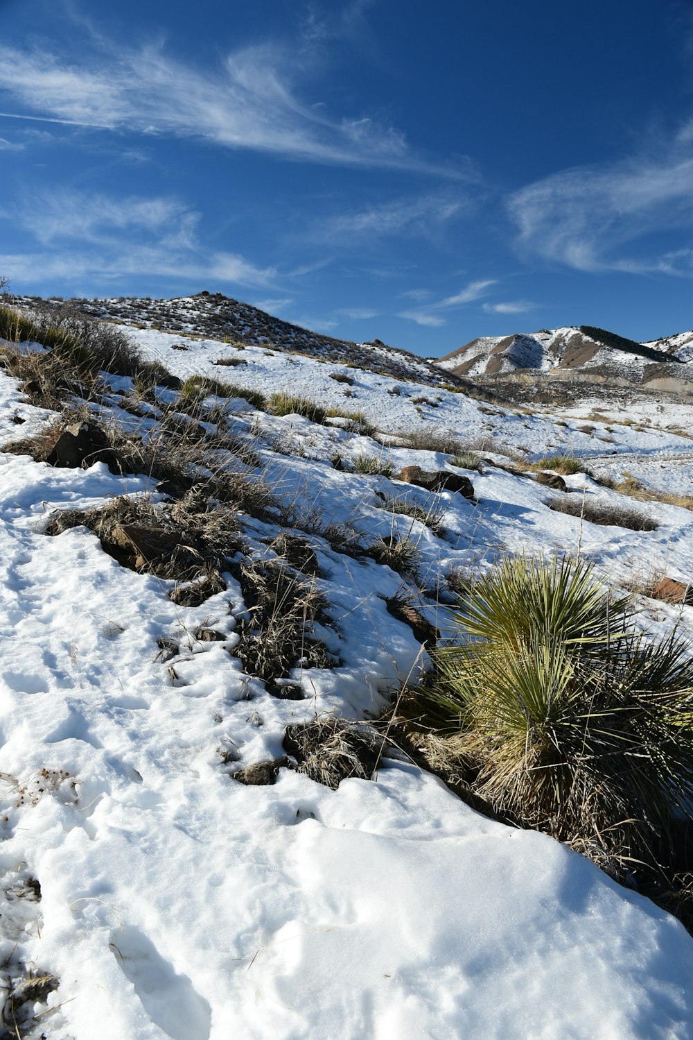 Un campo cubierto de nieve con una montaña al fondo