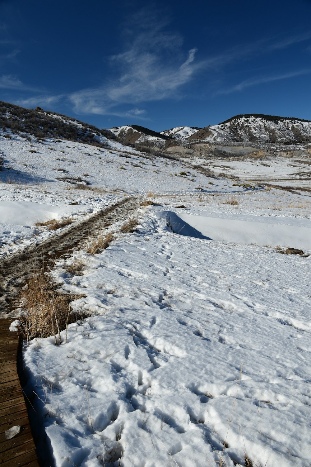 a snow covered field with a wooden walkway