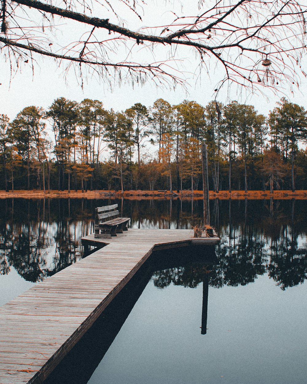 a wooden dock sitting next to a body of water