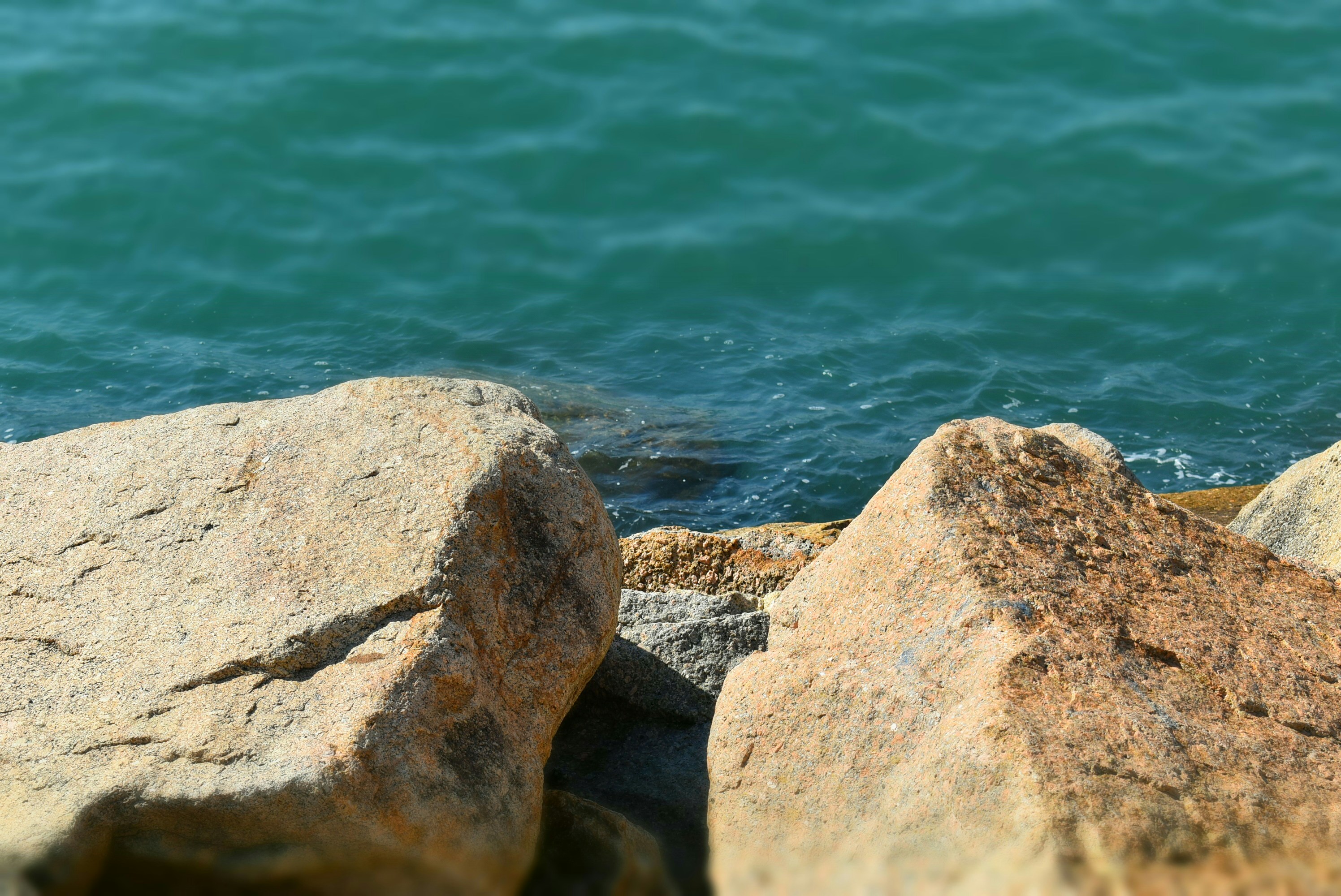 Photo by harveyabayasiri