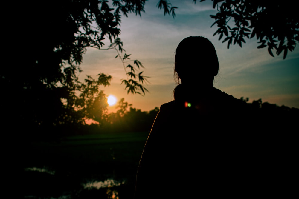 a person standing under a tree at sunset