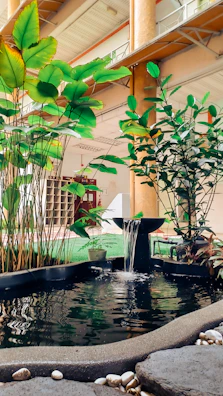 A peaceful corner with a comfortable chair and a small indoor fountain creating gentle water sounds.