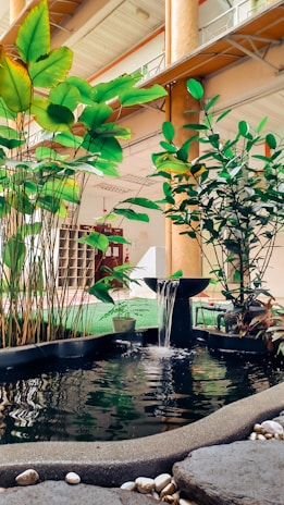 A tranquil water fountain surrounded by green indoor plants.