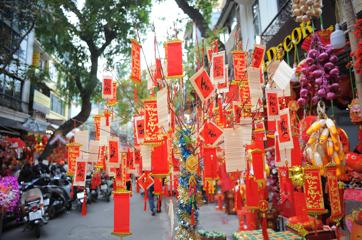 Vietnamese Lunar New Year Tet peach blossom tree with red envelopes