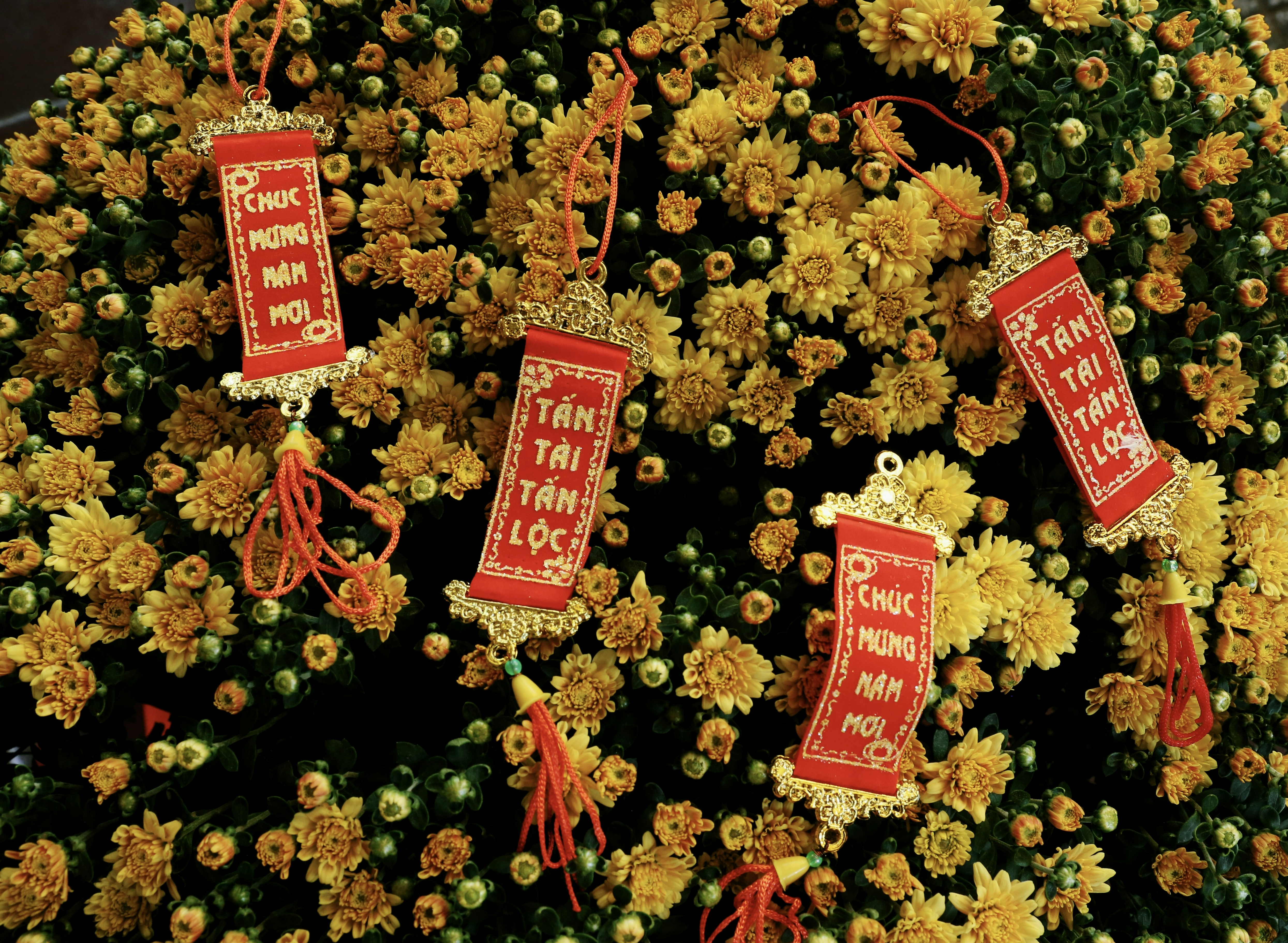 Lunar New Year (as a collective term including other Asian Lunar New Year festivals, used outside of Asia.)