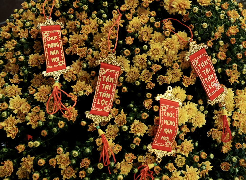 a bunch of red tags hanging from a tree