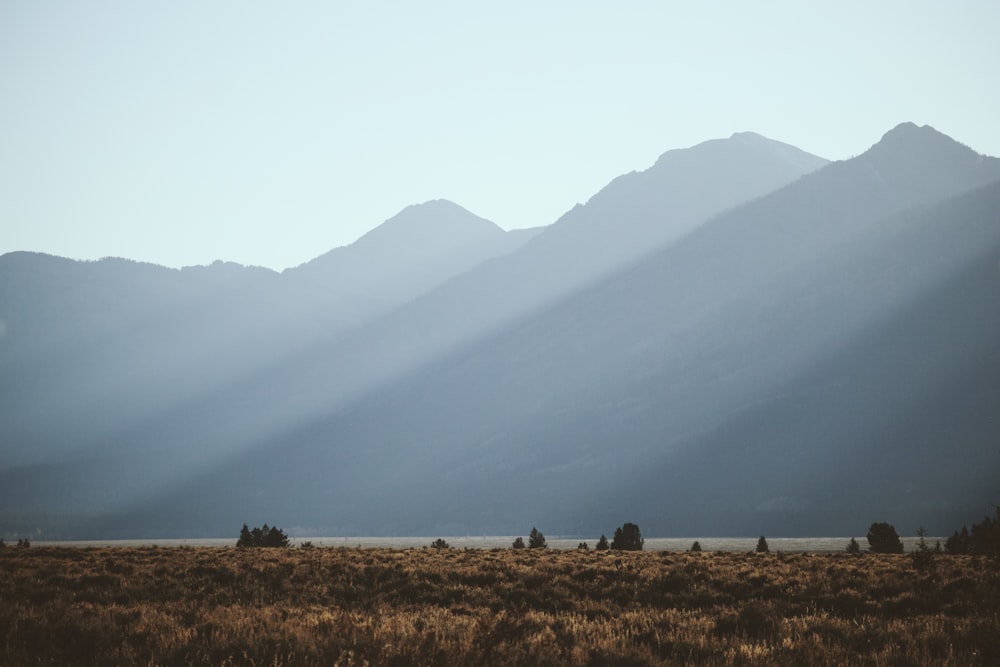 a grassy field with mountains in the background